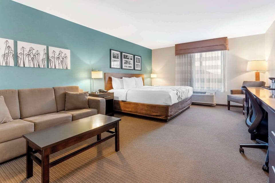 Suite, 1 King Bed with Sofa bed, Non Smoking | Pillowtop beds, desk, blackout drapes, iron/ironing board