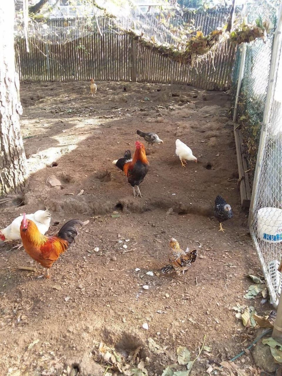 Children's activities