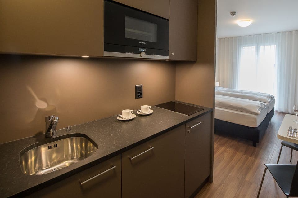 Business Double or Twin Room, Balcony (kitchenette) | Private kitchen | Fridge, electric kettle