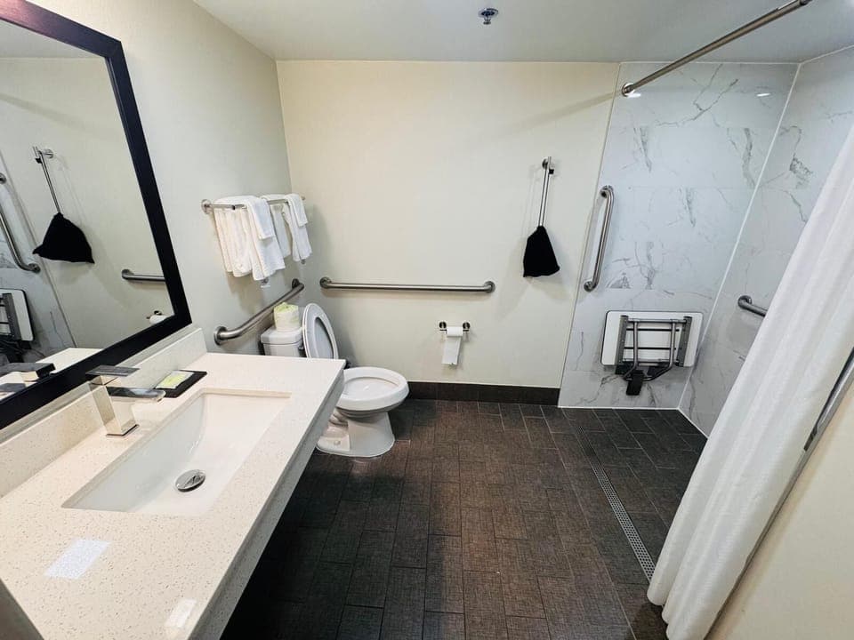 Room, 1 King Bed, Accessible, Non Smoking | Bathroom | Shower, free toiletries, hair dryer, towels