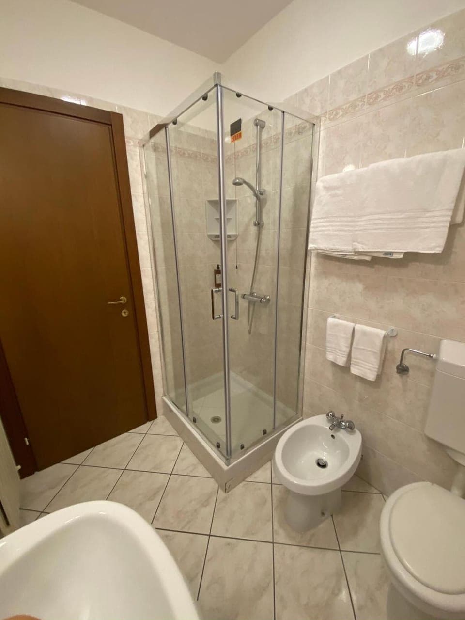 Shower, hair dryer, bidet, towels
