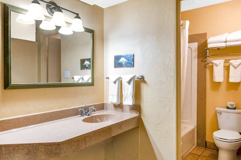 Standard Room, 2 Queen Beds, Non Smoking | Bathroom | Combined shower/tub, free toiletries, hair dryer, towels