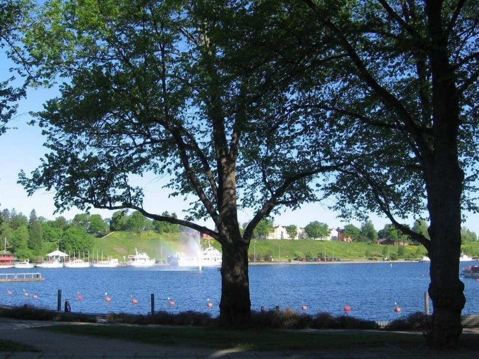 Lake
