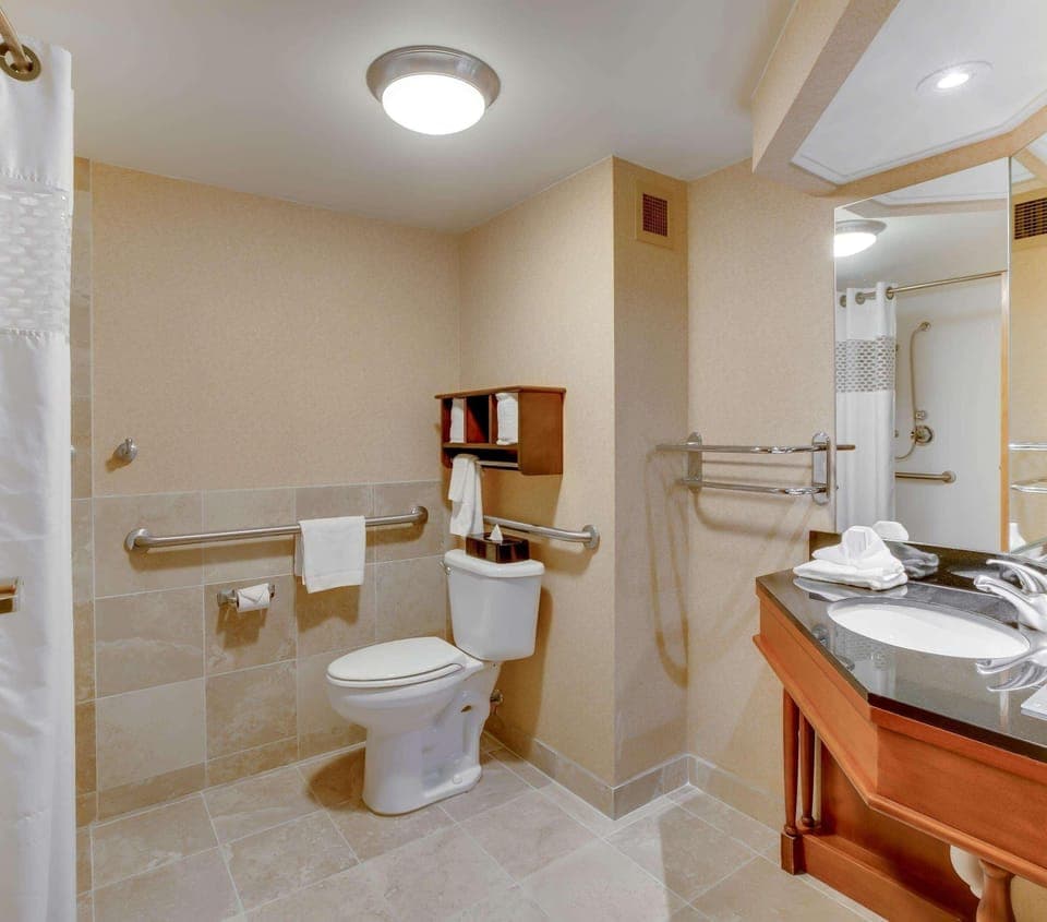Combined shower/tub, free toiletries, hair dryer, towels