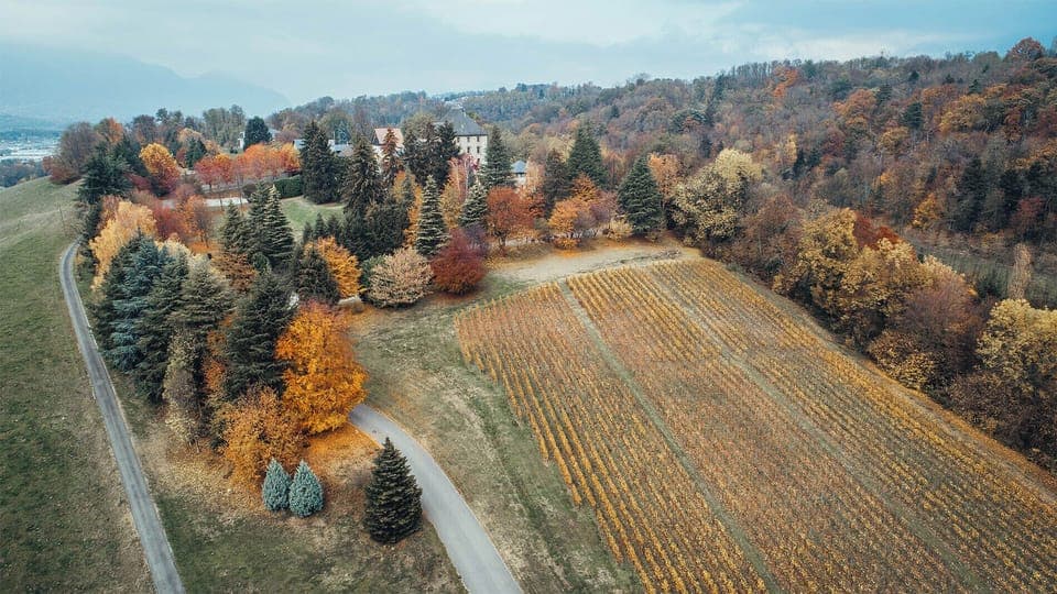 Land view from property