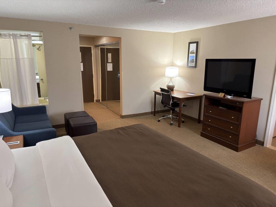 Suite, 1 King Bed, Non Smoking (Efficiency) | Premium bedding, desk, laptop workspace, blackout drapes