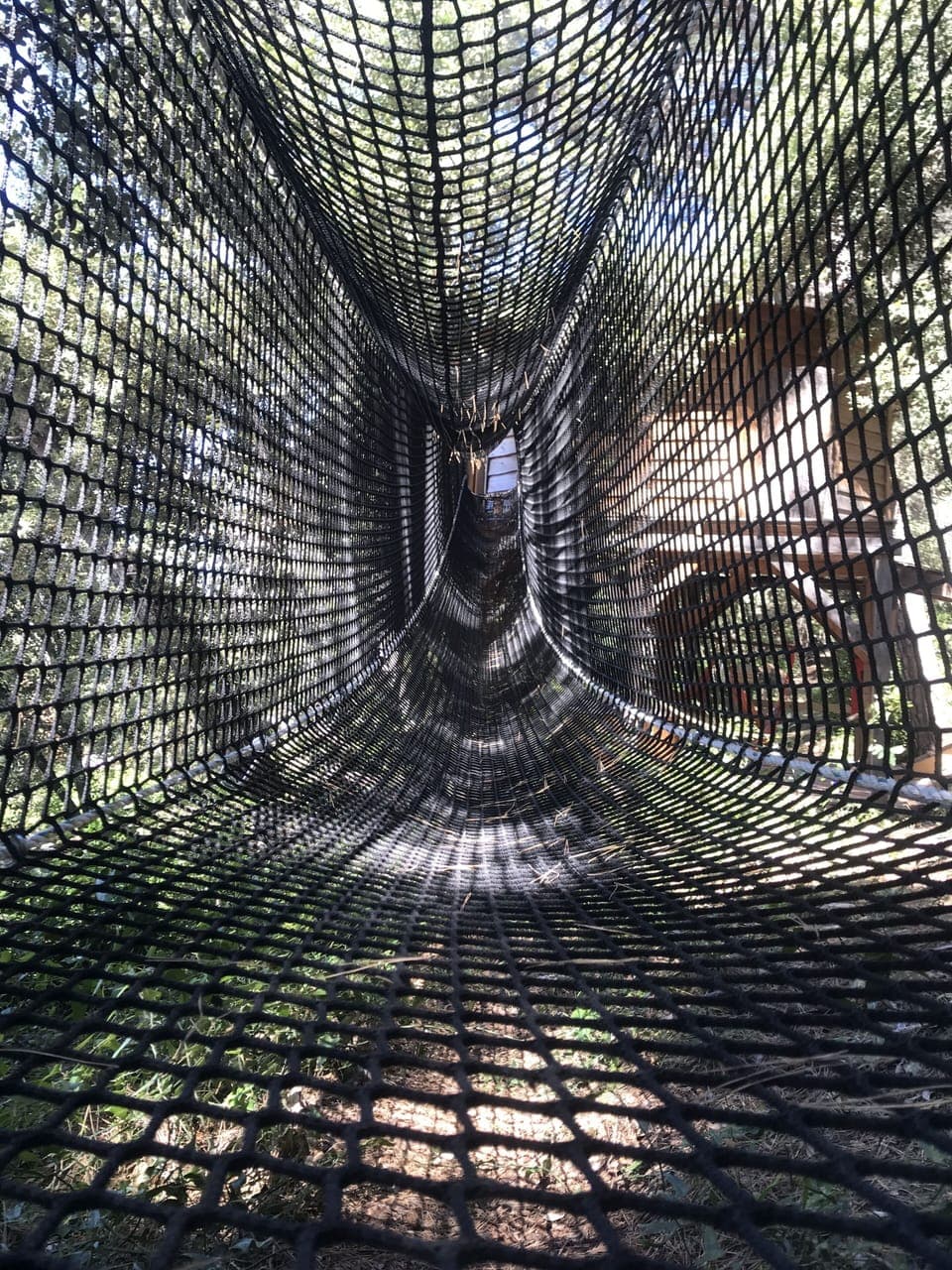 Perched Cabin with private spa | 1 bedroom, premium bedding, individually decorated