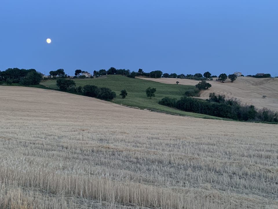 Land view from property