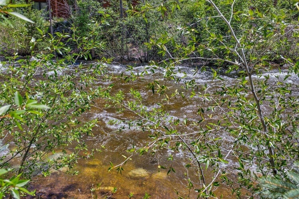 Condo, 2 Bedrooms | Property grounds