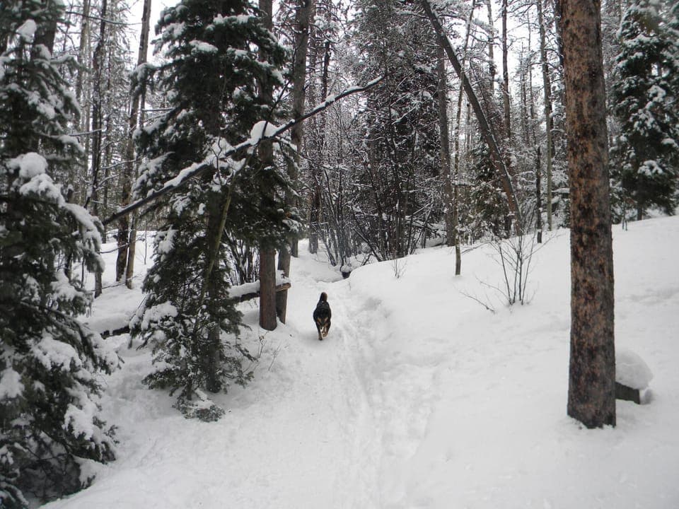 Condo, 2 Bedrooms | Snow and ski sports