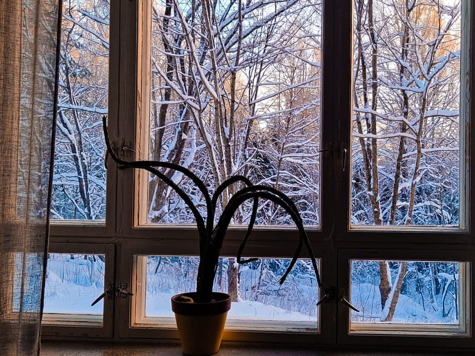 Family Room, Shared Bathroom | View from room