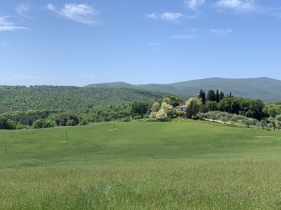 Land view from property