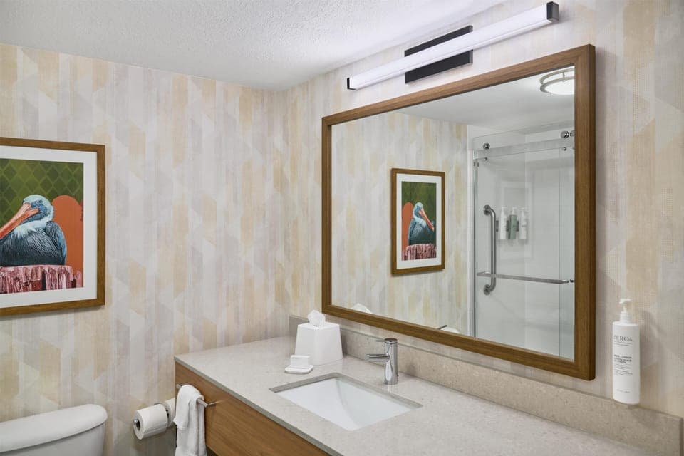 Free toiletries, hair dryer, towels