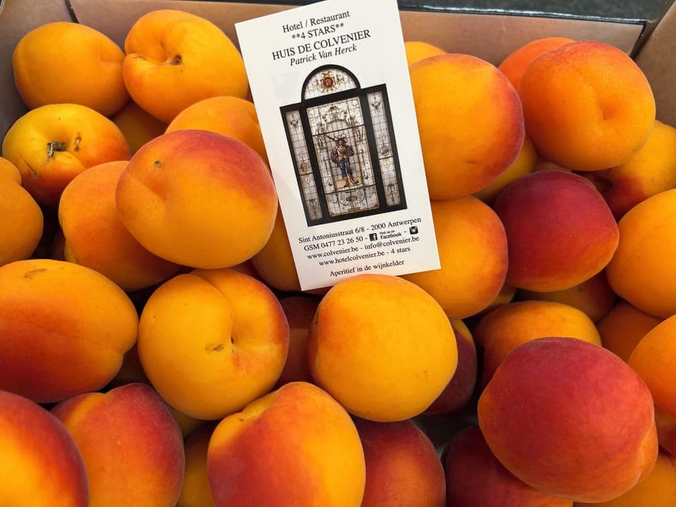 Lunch and dinner served, French cuisine