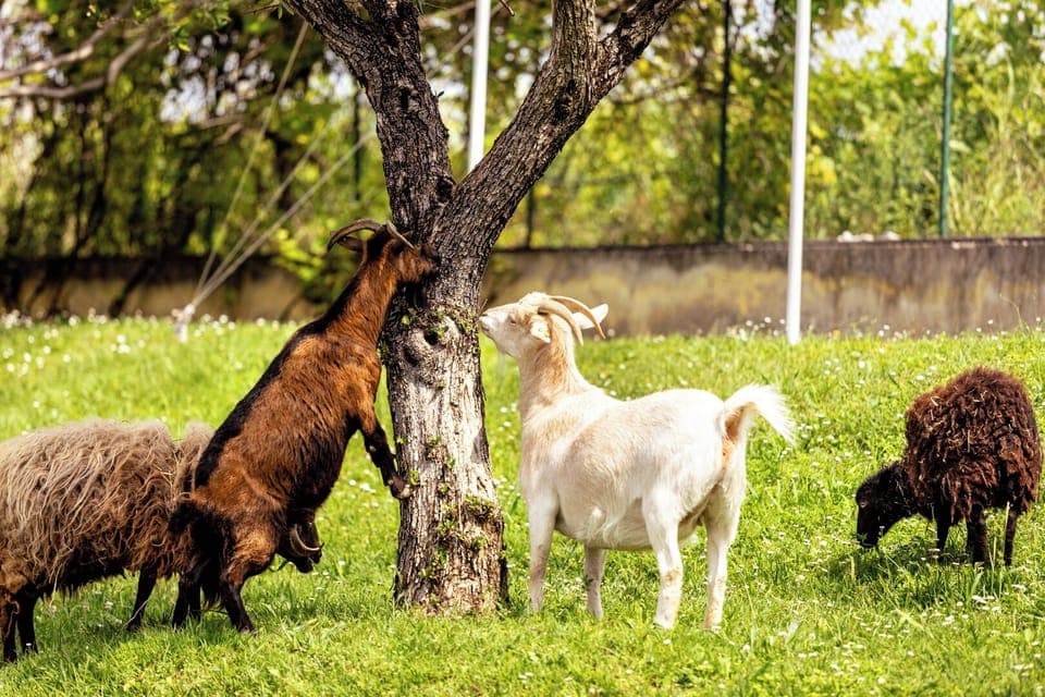 Children's play area - outdoor