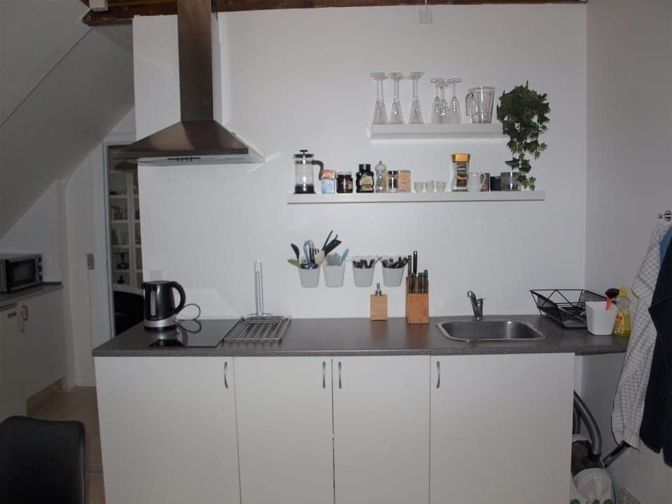 Apartment 3 | Private kitchenette | Fridge, microwave, electric kettle, cookware/dishes/utensils