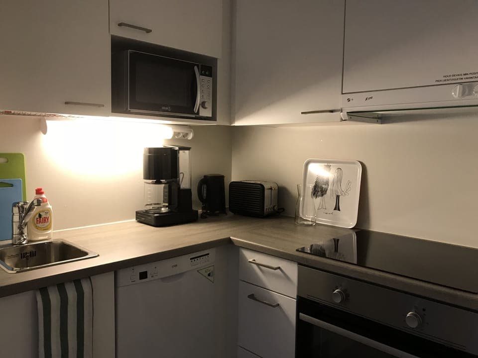 Deluxe Apartment | Private kitchen | Full-size fridge, microwave, oven, stovetop