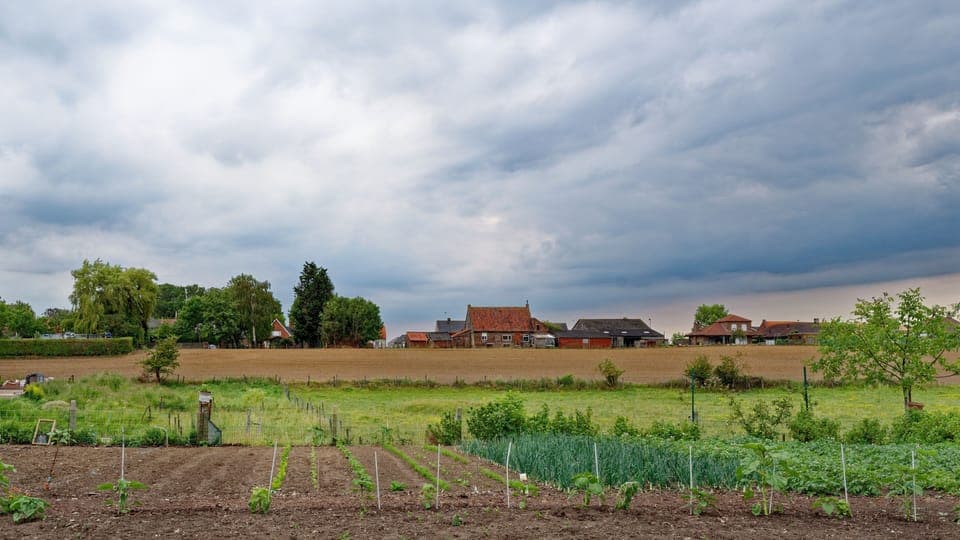 Comfort Villa, 5 Bedrooms | View from room
