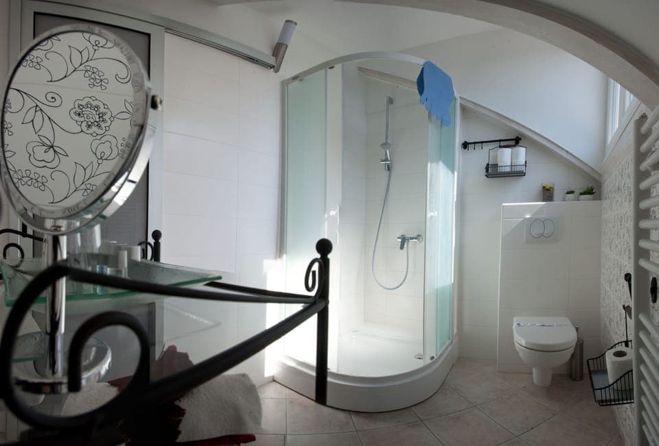 Superior Double or Twin Room (Cherry ) | Bathroom | Shower, free toiletries, towels