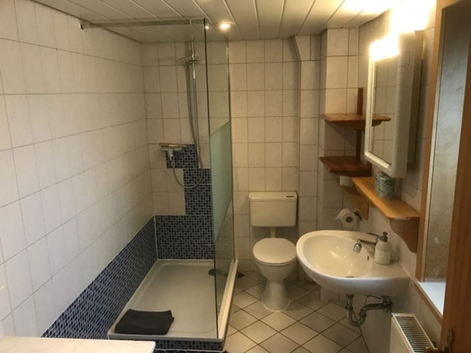 Double Room | Bathroom | Shower, hair dryer, towels
