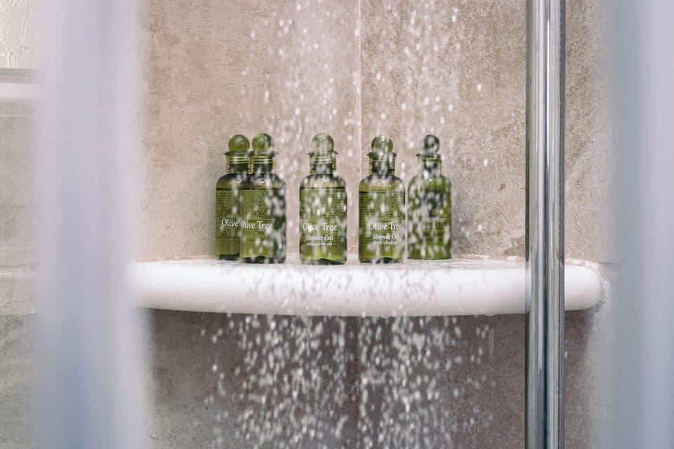 Shower, free toiletries, towels