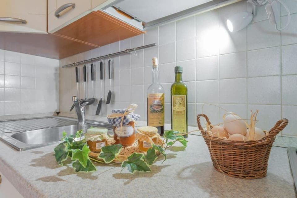 Apartment, 1 Bedroom | Private kitchen | Fridge, oven, stovetop, dishwasher