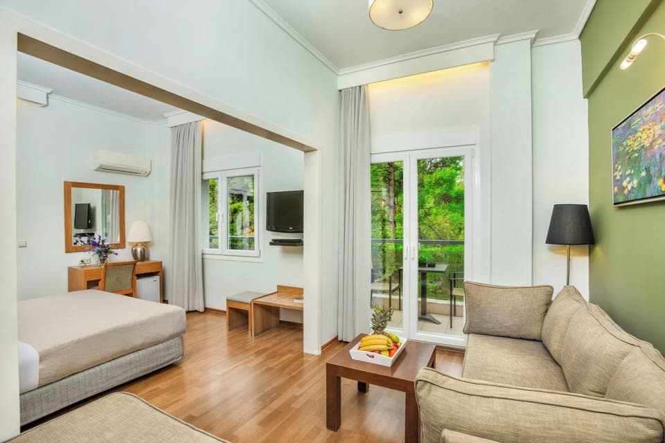 Minibar, in-room safe, iron/ironing board, free WiFi