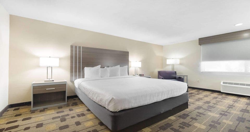 Standard Room, 1 Queen Bed, Non Smoking, Refrigerator & Microwave | Blackout drapes, iron/ironing board, WiFi, bed sheets