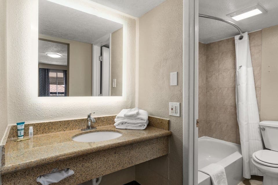 Room, 1 King Bed, Non Smoking | Bathroom | Combined shower/tub, free toiletries, towels