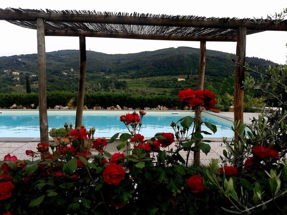 Outdoor pool, open 7:00 AM to 8:00 PM, pool umbrellas, sun loungers