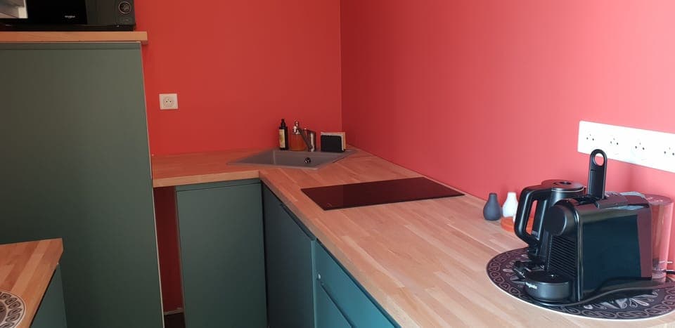 Panoramic House, Ensuite, Park View (Gîte) | Shared kitchen