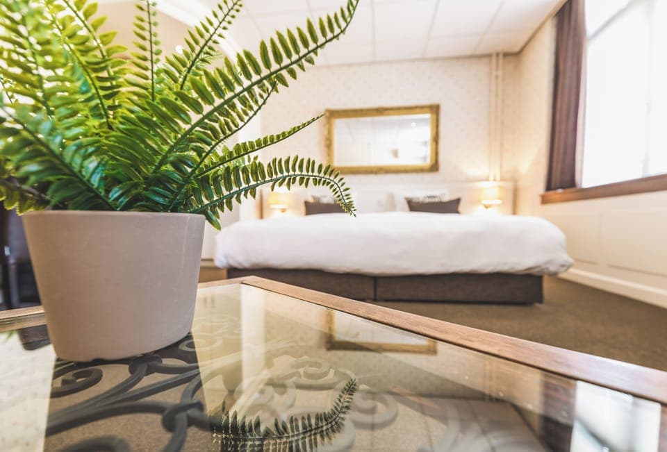 Superior Double Room | Down comforters, in-room safe, desk, iron/ironing board