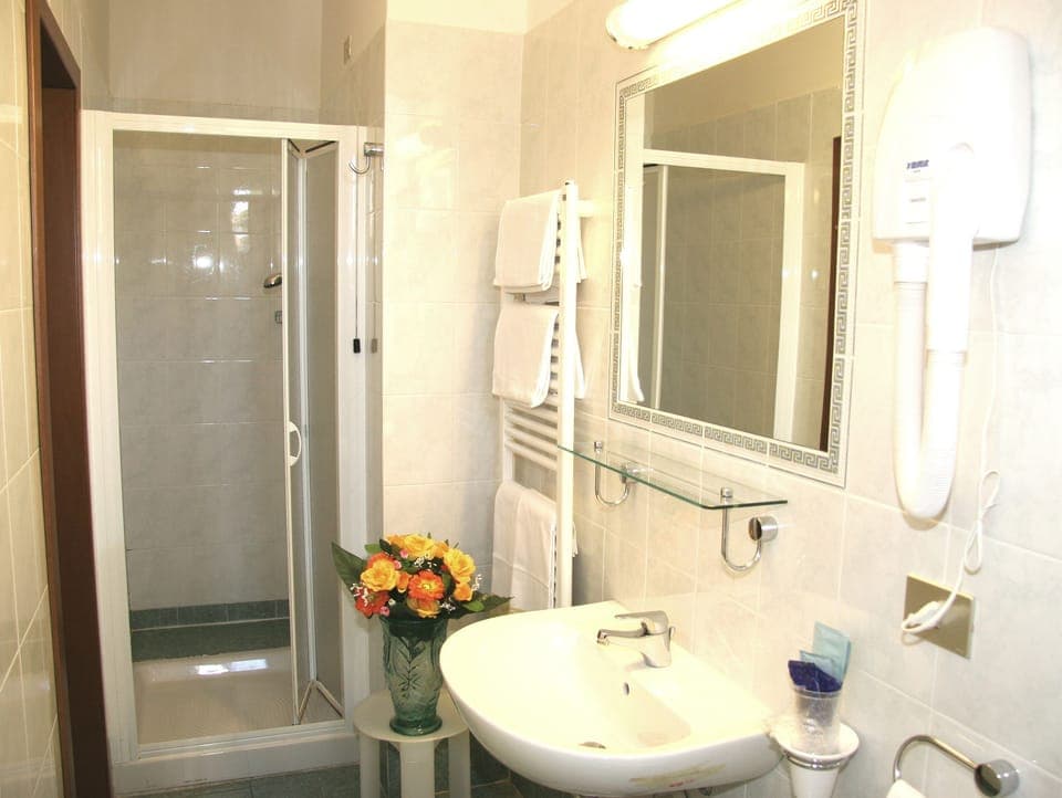 Shower, free toiletries, hair dryer, bidet