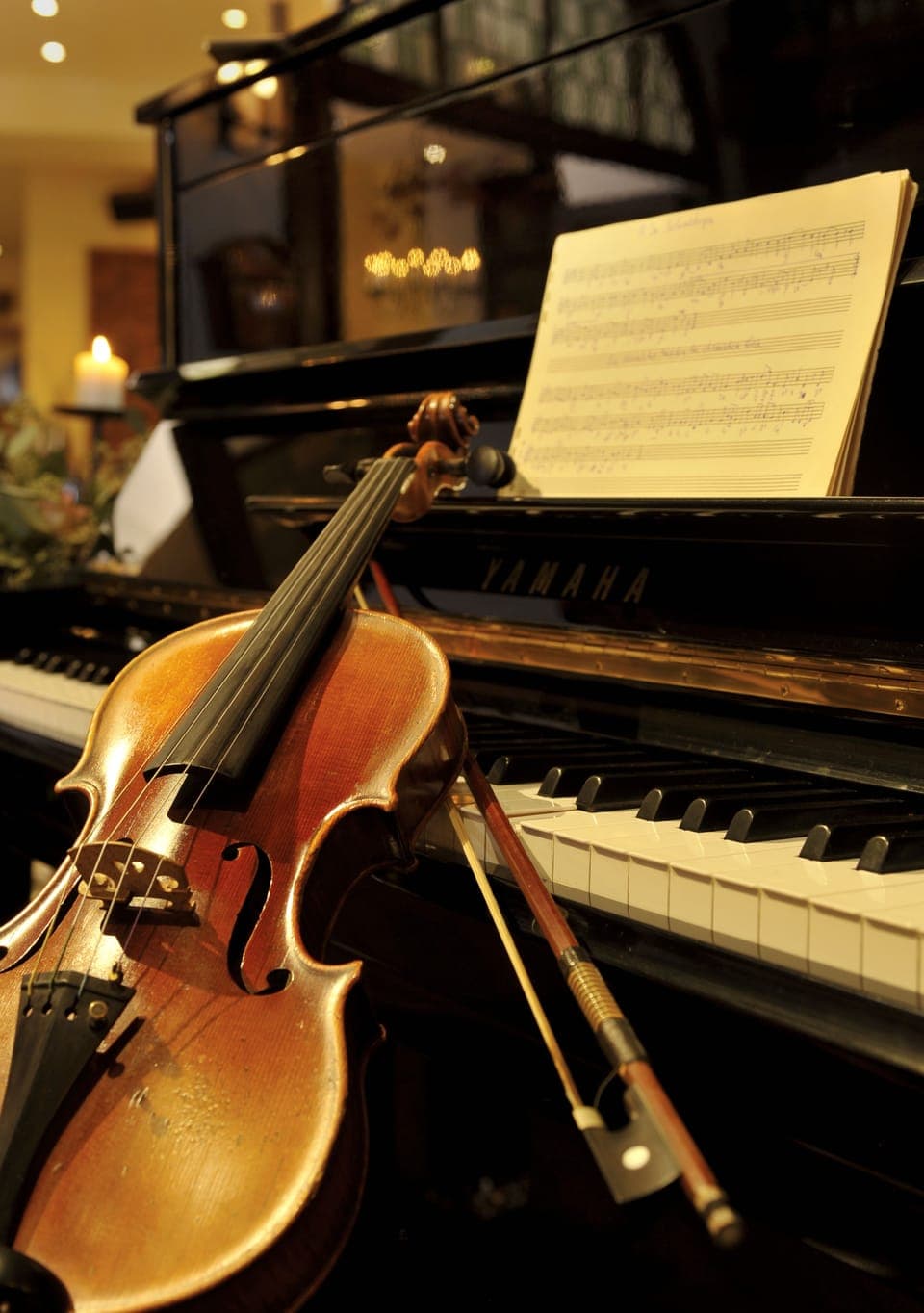 Lunch and dinner served, Regional cuisine