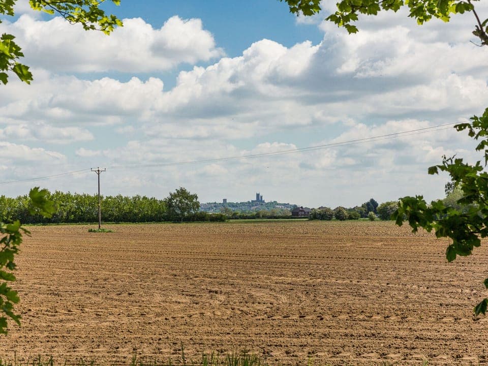 Cottage | Miscellaneous