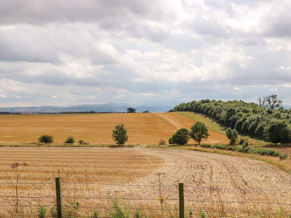 Cottage | Property grounds