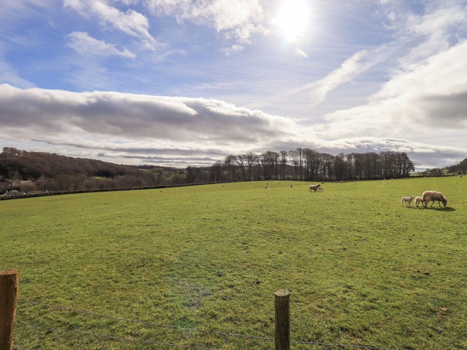 Cottage | Miscellaneous