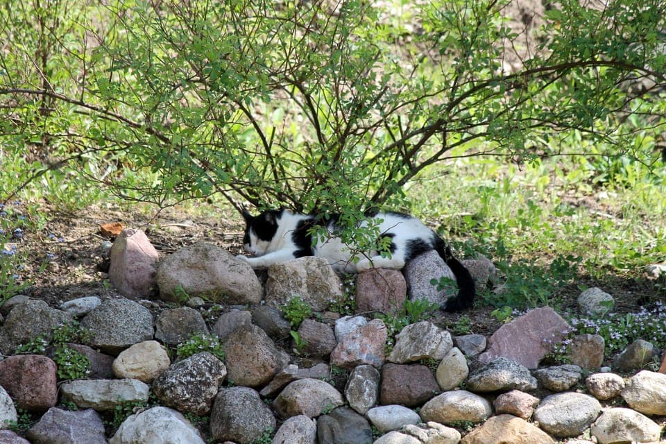 Land view from property