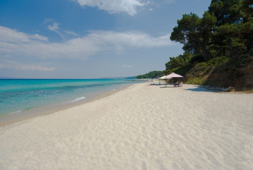 Beach nearby, scuba diving