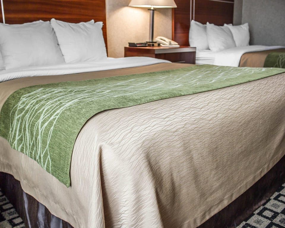 Standard Room, 2 Queen Beds | Premium bedding, desk, iron/ironing board, free WiFi