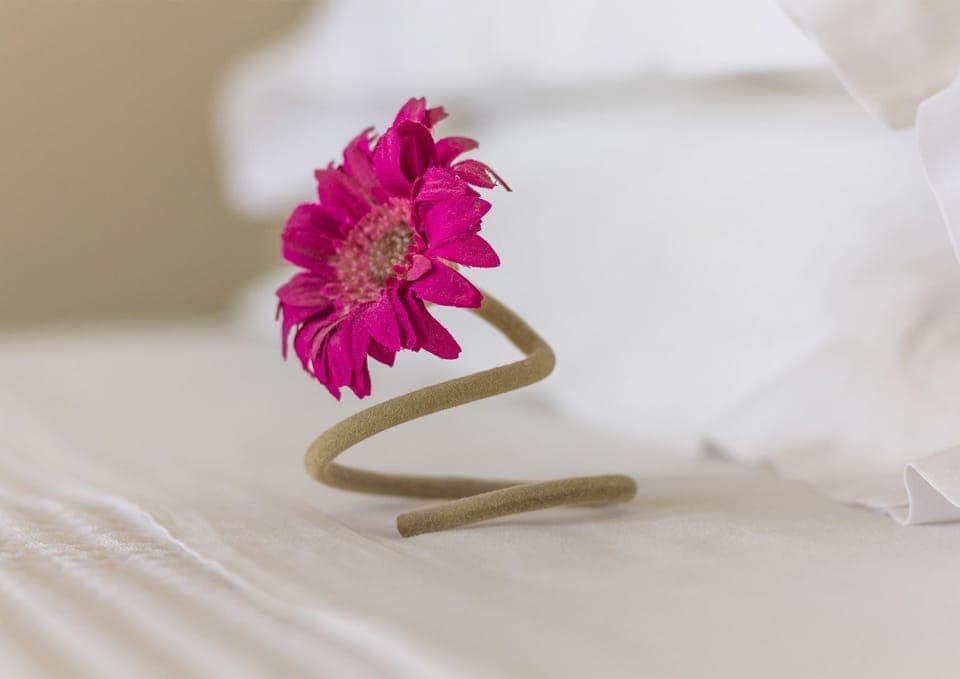 Egyptian cotton sheets, premium bedding, Tempur-Pedic beds, in-room safe