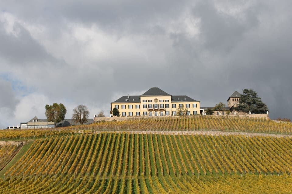 Land view from property