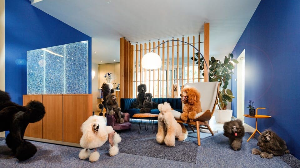 Serves breakfast, lunch, and dinner