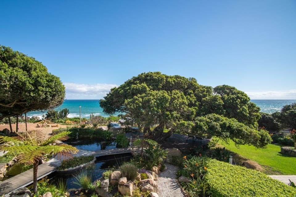 Panorama Suite | View from room