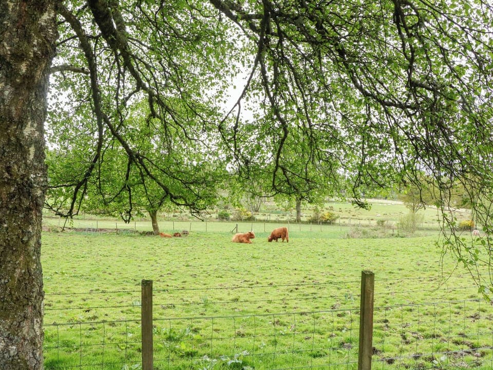 Cottage | Miscellaneous