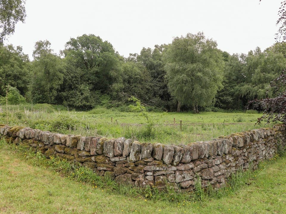 Cottage | Miscellaneous