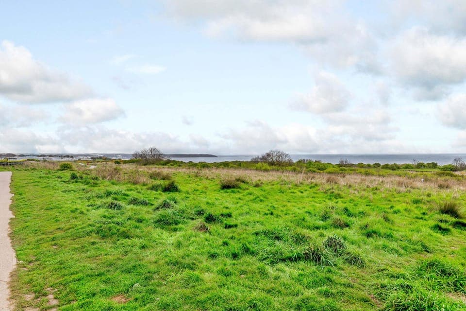 Cottage | Miscellaneous