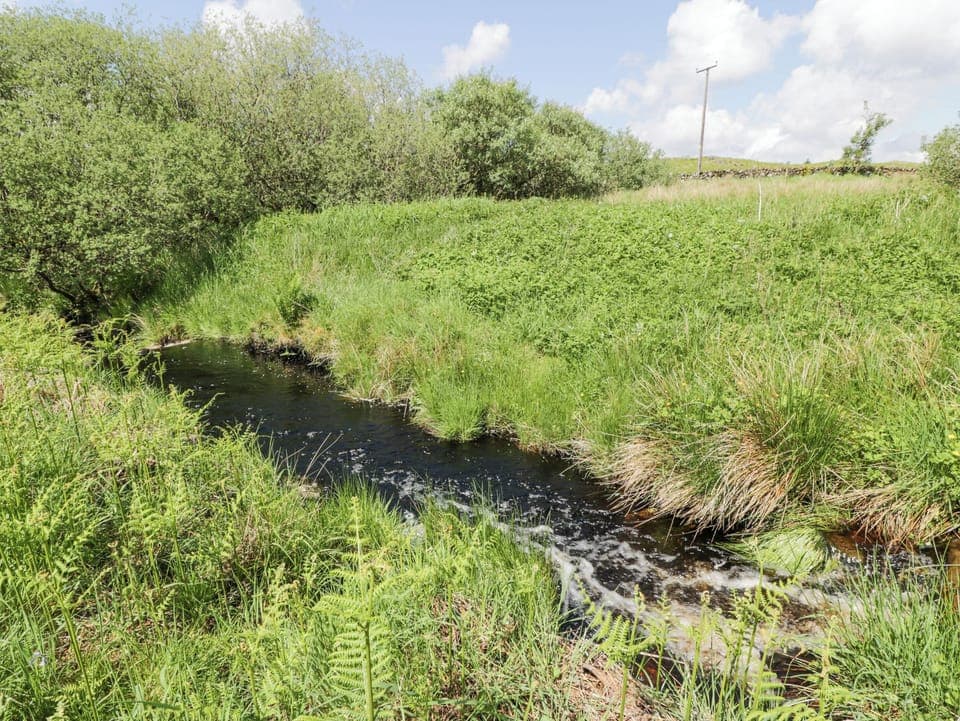 Cottage | Miscellaneous