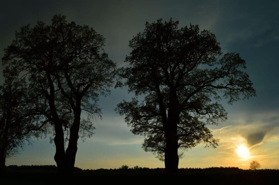 Land view from property