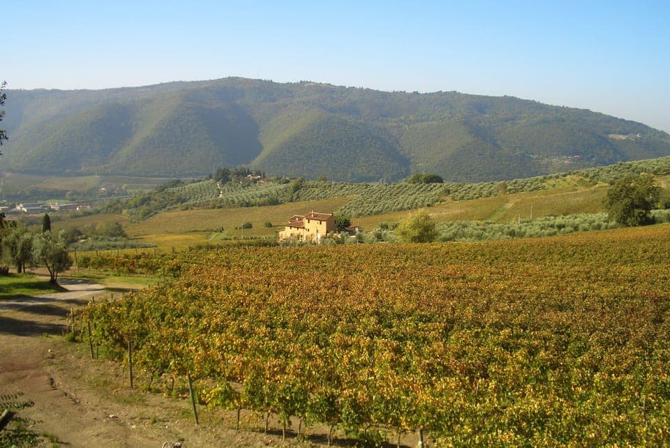 Land view from property